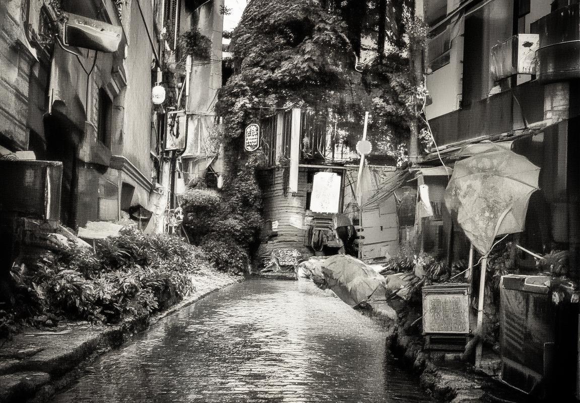 红牌争议引爆失控夜！豪门球队15轮不胜积分榜垫底，更衣室矛盾致崩盘